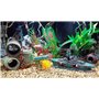 Eco-Friendly for Freshwater
