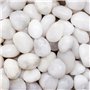 Aleker Galets blancs de 1 kg pour pots de fleurs