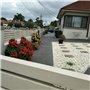 Aleker Galets blancs de 1 kg pour pots de fleurs, pierres polies décoratives naturelles de 2 à 3 cm, pierres de rivière pour jar