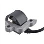 Cancanle Bobine d'allumage pour Stihl FS400 FS450 FS480 FR450 FR480 SP400 SP450 Partie Non. 4128 400 1306