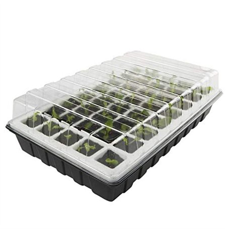 Outiror KIT DE Germination Lot DE 2