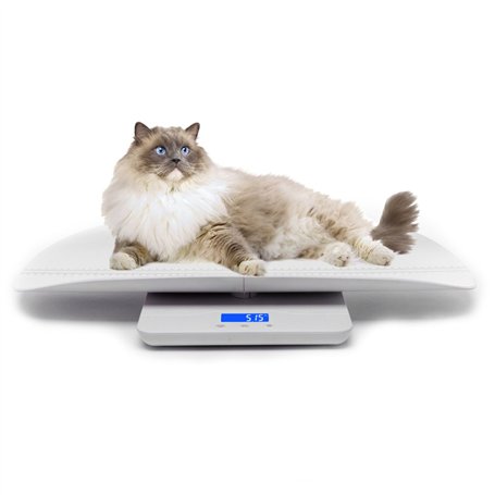 Balance numérique pour animaux de compagnie