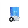 SKF VKM 33164 Kit de galet enrouleur multi-V