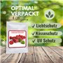 Framboise Rouge - env. 50 graines/pack - Rubusidaeus - résistant au gel/pluriannuelle