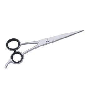SS INSTRUMENTX Ciseaux de coiffure