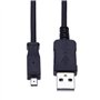 Kodak U-8 (U8) Easyshare Câble USB Compatible avec C140 C180 C182 C190 C310 C315 C330 C340 C350 C360 C433 C503 C513 C530 C533 C6