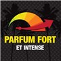 California Scents, Boite de Parfum Voiture, Lot de 4 Désodorisants Voiture Parfum Linge Frais, Accessoire de Voiture pour Élimin