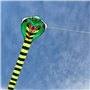 Cobra Cerfs-Volant Sport et Plage