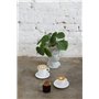 tasse résistante en verre borosilicaté