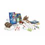 Clementoni - Science & Jeu - Le Grand Coffret du Scientifique - Expériences sur : Anatomie, Botanique, Paléontologie, Cristaux, 