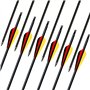 Narchery Flèche Arc Chasse 31 Pouces Flèche Carbone, Tir à l’Arc pour Entraînement et pour l’Arc Long, l’Arc Traditionnel et l’A