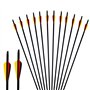 Narchery Flèche Arc Chasse 31 Pouces Flèche Carbone, Tir à l’Arc pour Entraînement et pour l’Arc Long, l’Arc Traditionnel et l’A