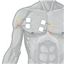 GLOBUS | Genesy 300 Pro, électrostimulateur à 4 canaux, 91 programmes pour la physiothérapie