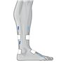 GLOBUS | Genesy 300 Pro, électrostimulateur à 4 canaux, 91 programmes pour la physiothérapie