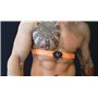 UPTIVO Belt-D - cardiofréquencemètre Thoracique avec Double Transmission sans Fil