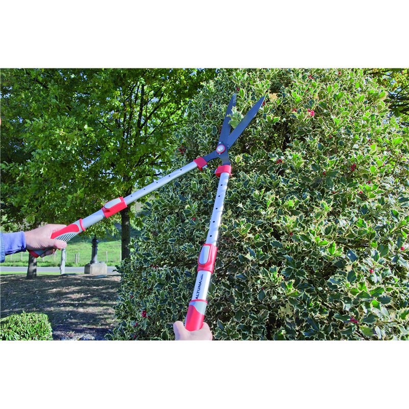 Image secondaire de Taille-haie télescopique J449