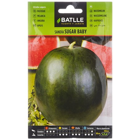 Semences horticoles de Batlle - Pastèque Sugar baby (8g)