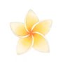 QKnatur - Huile de Massage Relaxante fleur de Monoï - BIO - 200ml - Pour des Massages Corporelles - Monoi