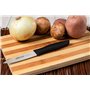Arcos Lot de 6 Couteaux d'Office. Lame 100 mm Acier Inoxydable. Manche Polypropylène. Couteaux de Cuisine Éplucheurs. Compatible