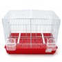 BPS Cage à Oiseaux en métal avec mangeoire Abreuvoir Jumper Cage Matériau Métal Couleur envoie au Hasard 44X26.5X32 cm BPS-1364