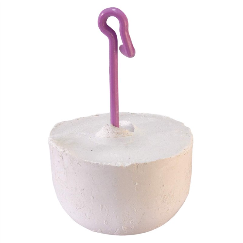 Arquivet Chaux pour perroquets 20 g - Bloc minéral avec iode pour Oiseaux - Complément Alimentaire pour Tous Les Oiseaux domestiques