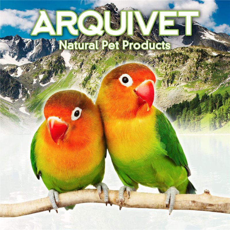 Image secondaire de Arquivet Chaux pour perroquets 20 g - Bloc minéral avec iode pour Oiseaux - Complément Alimentaire pour Tous Les Oiseaux domestiques