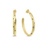 Boucles d'oreilles pour femme CO88 Collection 8CE-70592 Doré - Marque : CO88 Collection - EAN : 8720916142268
