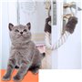 3 PCS Cordon de Serrage de Porte Cale Porte Corde Porte-bébé Sécurité Pincée Garde Protecteurs pour