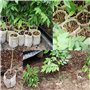Mein HERZ 500 Pcs Sacs à Plantes Non Tissé Biodégradables - Tissu Pour Semis et Croissance d'Élevage - Tomates, Fleurs et Plus -