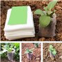 Mein HERZ 500 Pcs Sacs à Plantes Non Tissé Biodégradables - Tissu Pour Semis et Croissance d'Élevage - Tomates, Fleurs et Plus -
