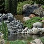 Apollo Gardening Ltd BioPure 2000 Basic Ubbink FiltraPure Filtre vijver Multicolore