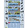 Apollo Gardening Ltd BioPure 2000 Basic Ubbink FiltraPure Filtre vijver Multicolore