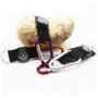 10 Pièces Boussole Porte-Clés,Boussole Mousqueton Camping Escalade Randonnée Mini Carabiner avec Porte-Clés Boussole pour Sports