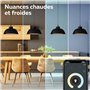 CALEX Ampoule intelligente E27, avec application et commande vocale Alexa (7 W), ampoule LED WiFi, filament à intensité variable