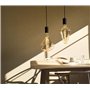 Calex 8 W ES E27 Bouchon à vis Doré XXL Sydney lampe LED