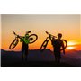 BBB Rollerboys Poulies de dérailleur Vélo, Céramique, 12T-14T