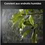 Philips Hue White & Color Ambiance Applique murale extérieurs IMPRESS, Kit de base à intensité variable jusqu'à 16 millions de c