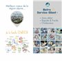 Flotteurs EDWEKIN® pour Enfants avec Chambres à air Extra Larges ; Brassards pour bébés/Jeunes Enfants de 1 à 6 Ans, Design Tran