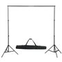 vidaXL Kit de Studio Photo avec Lampes Toile de Fond et Réflecteur Kit d'Eclairage Système de Toile de Fond Lumière de Studio Ph