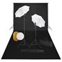 vidaXL Kit de Studio Photo avec Lampes Toile de Fond et Réflecteur Lumière de Studio Système de Toile de Fond Kit d'Eclairage Ph