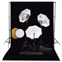 vidaXL Kit de Studio Photo avec Lampes Toile de Fond et Réflecteur Kit d'Eclairage Photographie Système de Toile de Fond Lumière