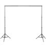 vidaXL Kit de Studio Photo avec Lampes Toile de Fond et Réflecteur Kit d'Eclairage Système de Toile de Fond Lumière de Studio Ph