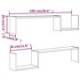Étagères murales 2 pcs Chêne fumé 100x15x20cm Bois d’ingénierie