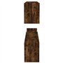 Étagères murales 2 pcs Chêne fumé 100x15x20cm Bois d’ingénierie