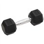 vidaXL Haltères 2 pcs 12 kg Fonte