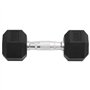vidaXL Haltères 2 pcs 12 kg Fonte