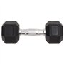 vidaXL Haltères 2 pcs 12 kg Fonte