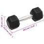 vidaXL Haltères 2 pcs 12 kg Fonte