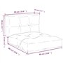 vidaXL Lot de 2 Coussins de Palette, Coussins de Siège de Salon, Coussins de Canapé de Jardin, Coussins de Chaise Extérieur, Ray