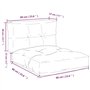 vidaXL Lot de 2 Coussins de Palette, Coussins de Siège de Salon, Coussins de Canapé de Jardin, Coussins de Chaise Extérieur, Ray